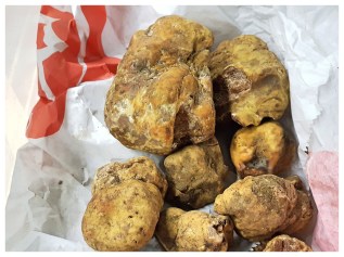 Fotor_153900984625282-01